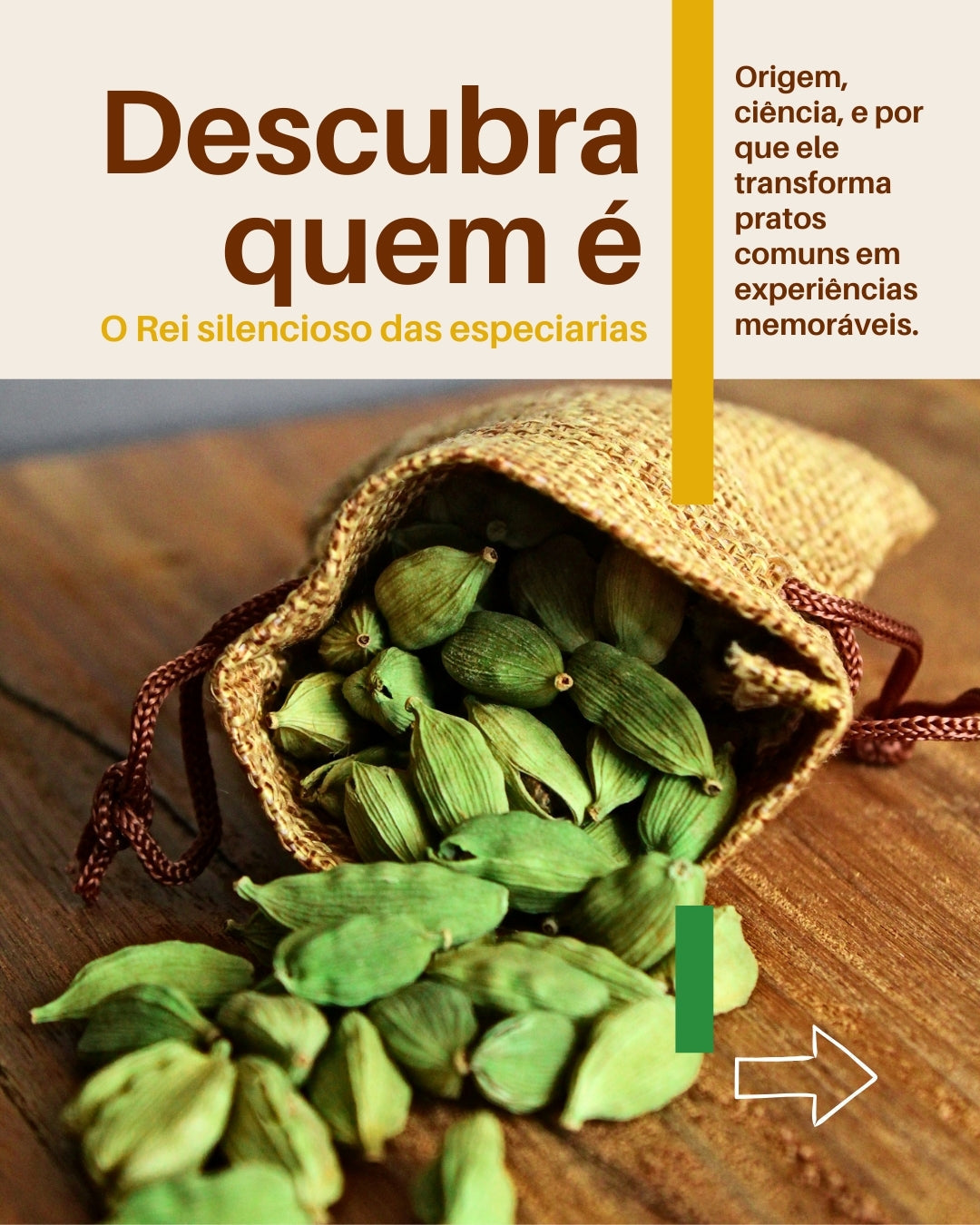 CARDAMOMO - O REI SILENCIOSO DAS ESPECIARIAS